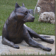 American Staffordshire Terrior