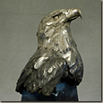 Bald Eagle Bust