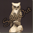 Screech Owl